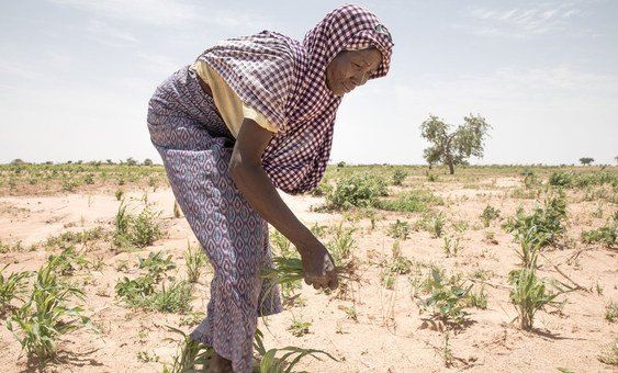 भूमिबद्ध मगर पीछे नहीं: अवाज़ा सम्मेलन एक नए साहसिक रोडमैप के साथ संपन्न